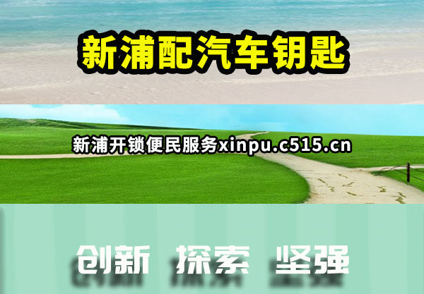 新浦配汽车钥匙